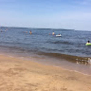 Meet your Posher, Brenda